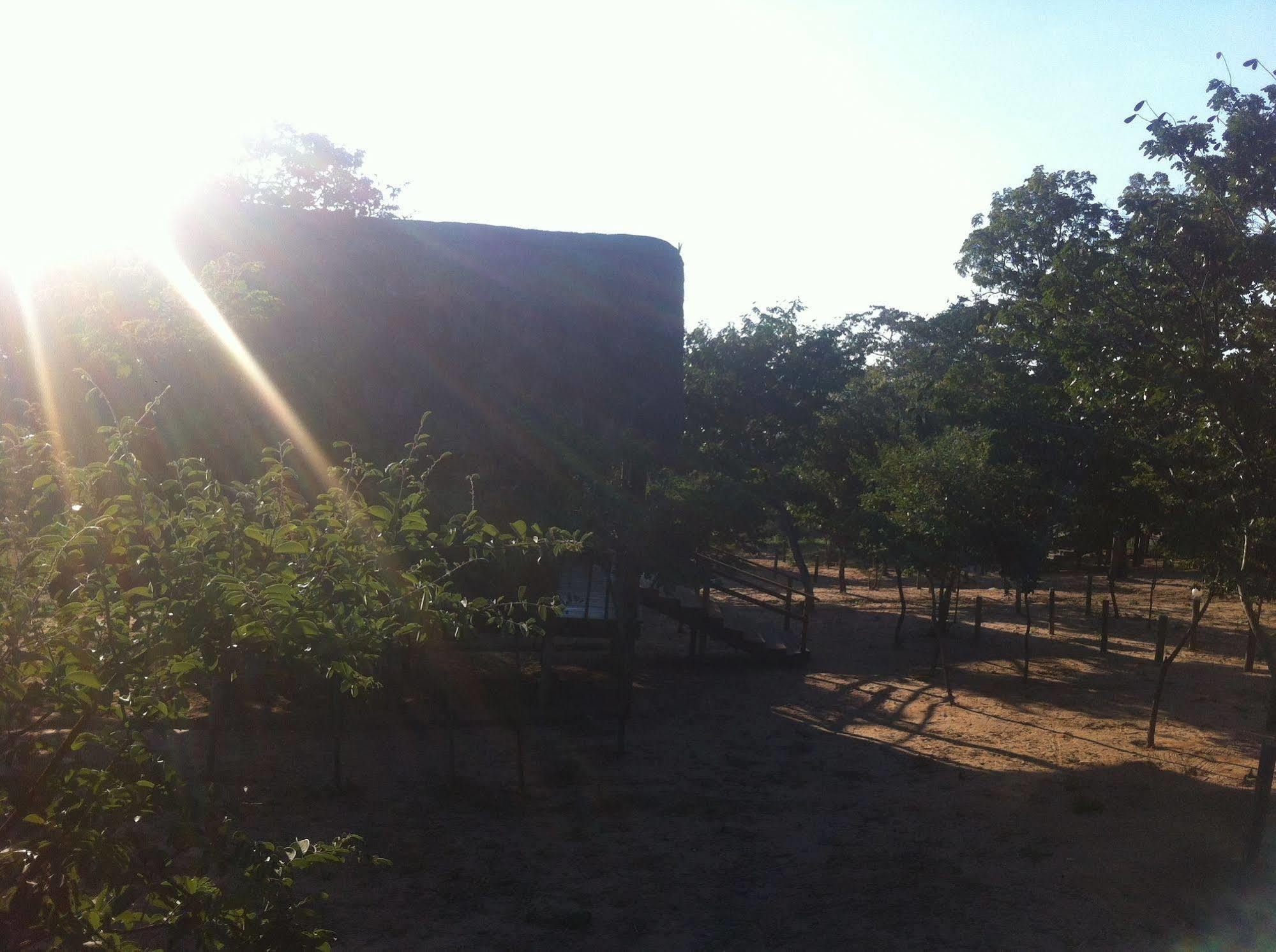 Lion Roars Lodge Lesoma Ngoại thất bức ảnh