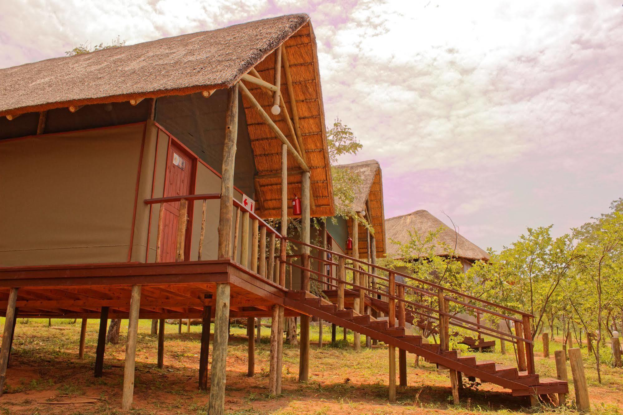 Lion Roars Lodge Lesoma Ngoại thất bức ảnh