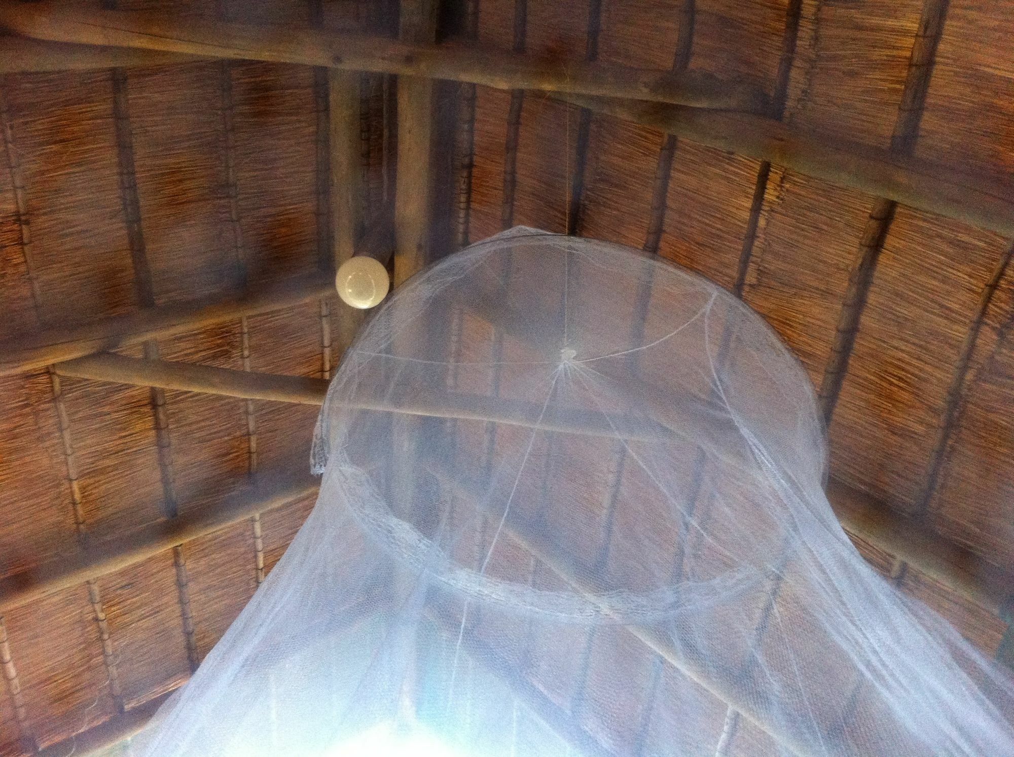 Lion Roars Lodge Lesoma Ngoại thất bức ảnh